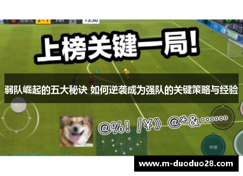 弱队崛起的五大秘诀 如何逆袭成为强队的关键策略与经验