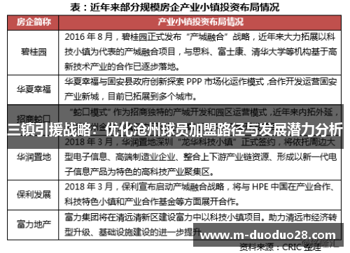 三镇引援战略：优化沧州球员加盟路径与发展潜力分析