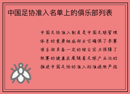 中国足协准入名单上的俱乐部列表