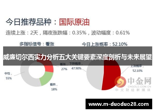 威廉切尔西实力分析五大关键要素深度剖析与未来展望