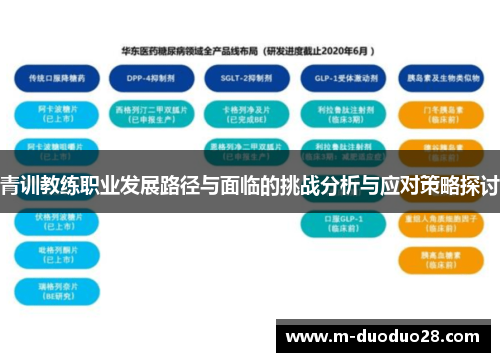 青训教练职业发展路径与面临的挑战分析与应对策略探讨